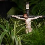 The mother of all liturgies: Homily for Sunday, March 29,. 2026